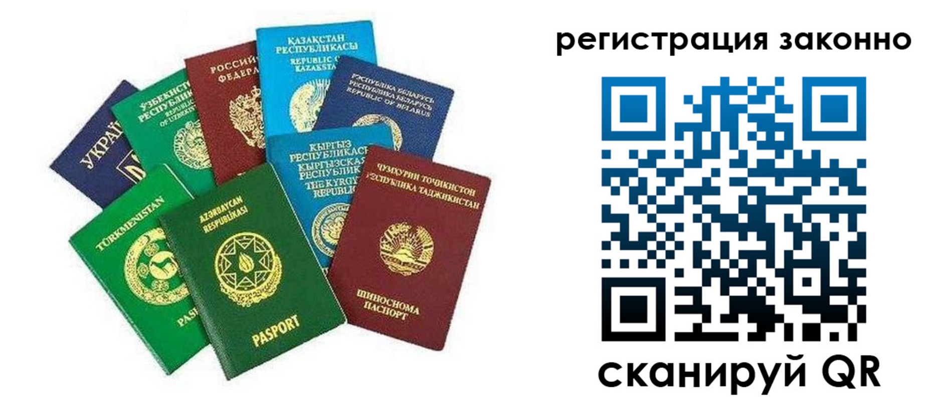временная регистрация поиск в Омской области